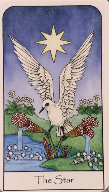 Nature Spirit Tarot